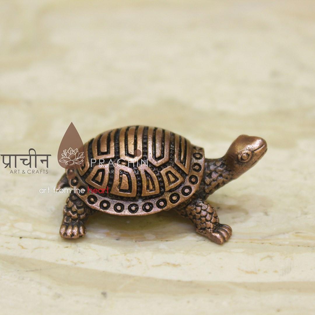 IMG_6731 Copper Tortoise